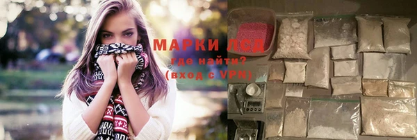 молекула духа Козельск