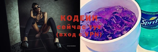 молекула духа Козельск