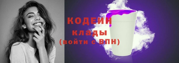 молекула духа Козельск