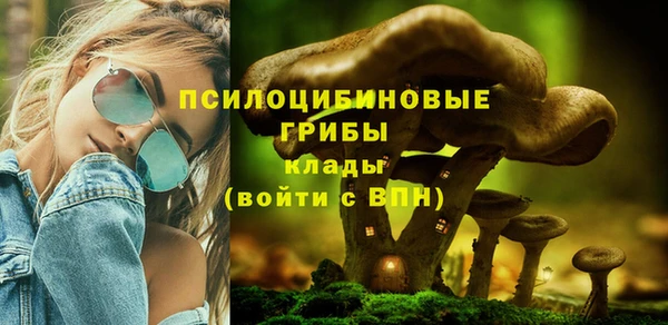 молекула духа Козельск