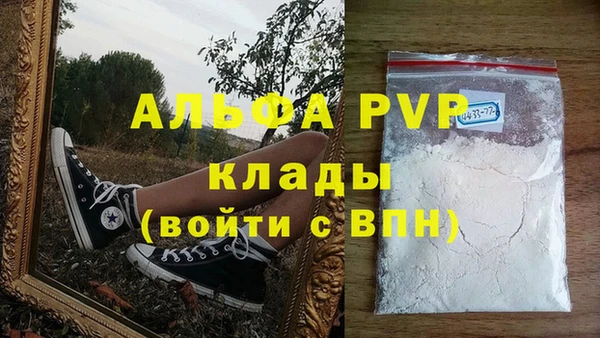 молекула духа Козельск