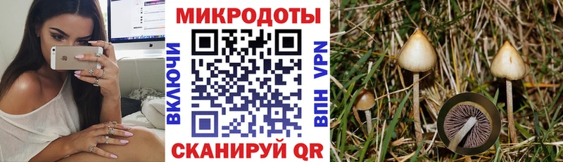 Купить где  Карпинск  Галлюциногенные грибы мицелий 